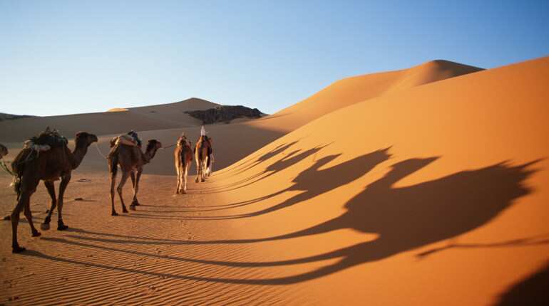 Snow falls in Sahara desert for first time in over 3 decades Snow falls in Sahara desert for first time in over 3 decades
