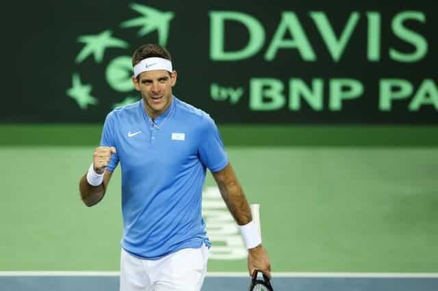 Juan Martin del Potro to skip Australian Open over injury concerns