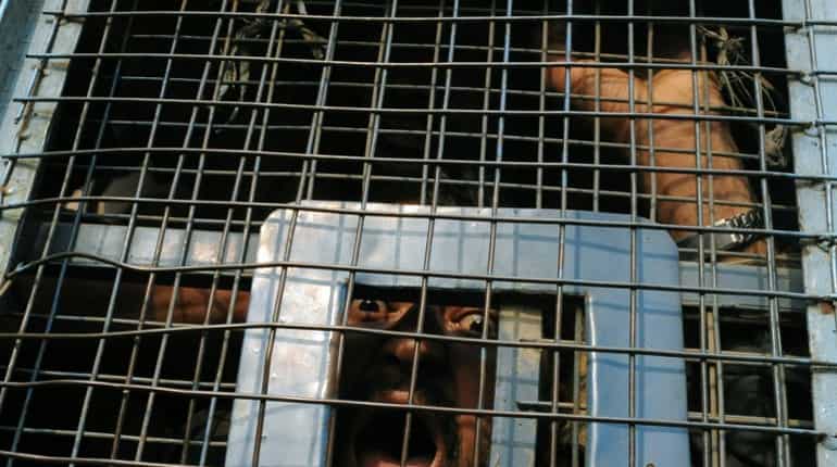 India: 8 traffickers get life for torturing, chopping off two labourers' hands