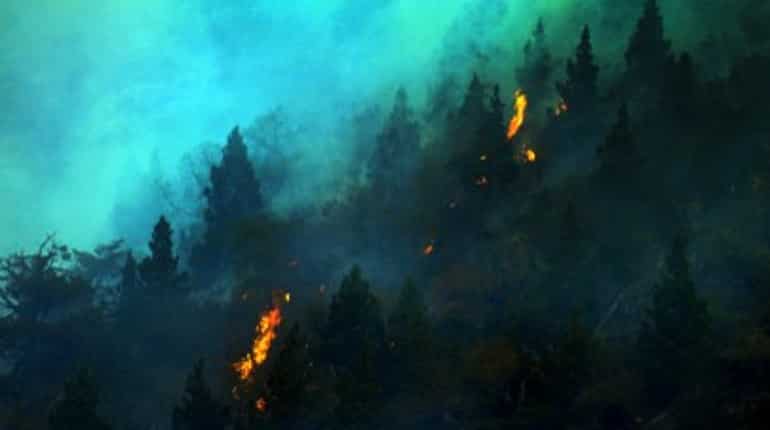 Wildfire destroys homes in Chile, hundreds evacuated Wildfire destroys homes in Chile, hundreds evacuated