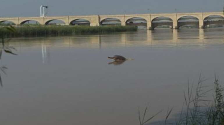 India tells World Bank to let neutral expert resolve Indus deadlock