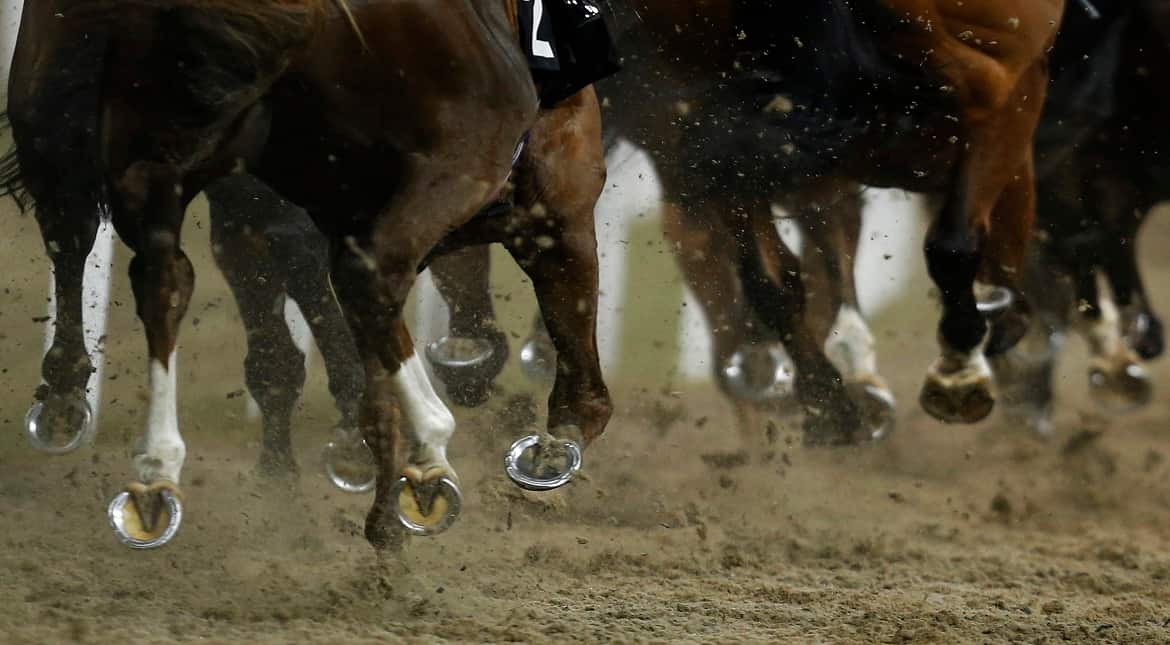 Runners kick up the Polytrack surface at Chelmsford racecourse in Chelmsford, England.