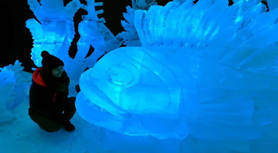 A visitor looks at a fish ice sculpture during an Ice sculpture festival in Pustevny hill, near Trojanovice.