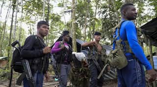 Colombia rebels could begin disarming in coming weeks: UN envoy