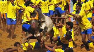 Regional pride, sport and state of the nation