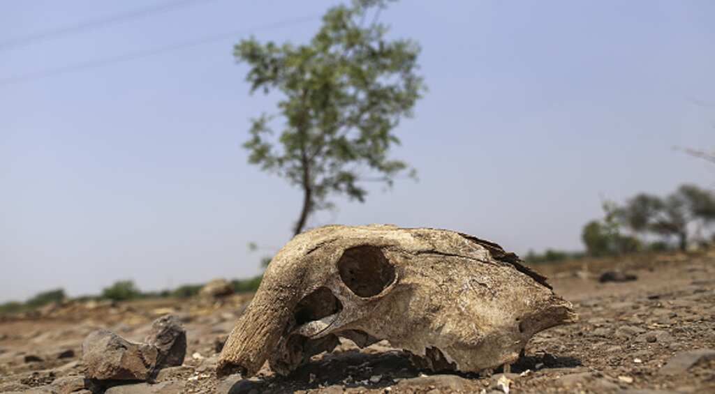 2016 was the hottest year since record-keeping began
