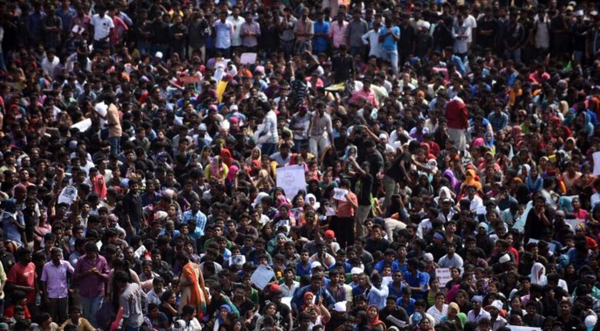Protests against bull-taming sport paralyse Tamil Nadu; Schools, colleges to shut in Chennai Protests against bull-taming sport paralyse Tamil Nadu; Schools, colleges to shut in Chennai