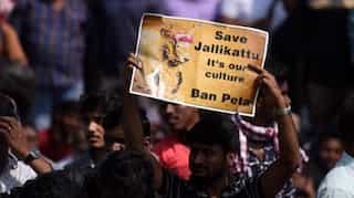 India: Lifting of Jallikattu ban moves a step closer