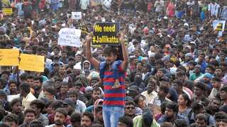 India: Police begin evicting Jallikattu ban protesters from Chennai's Marina beach