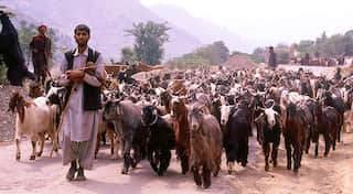 Kashmir: An angry valley, an unhappy people