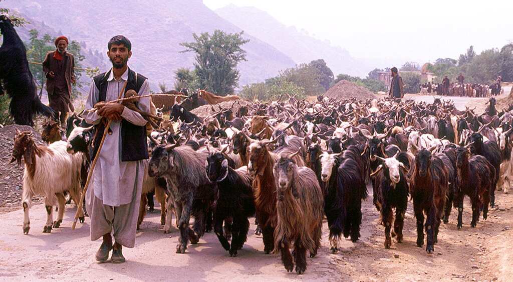 Kashmir: An angry valley, an unhappy people