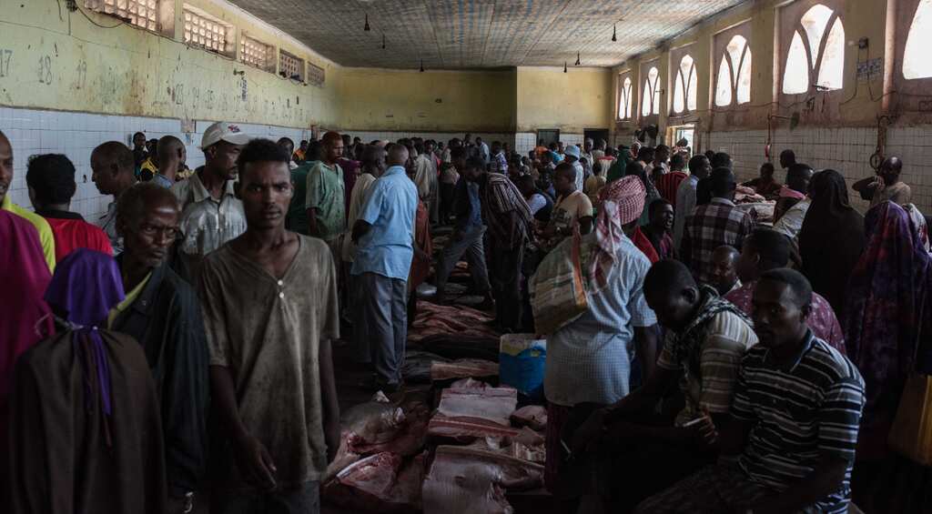 90 Somalis, 2 Kenyans deported from US without reason