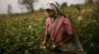 Inflation in 2018: Data shows price rise within comfort zone, but farmers hit