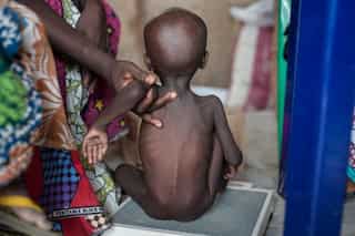 Boko Haram uprising likely to cause 'catastrophic' famine-like conditions