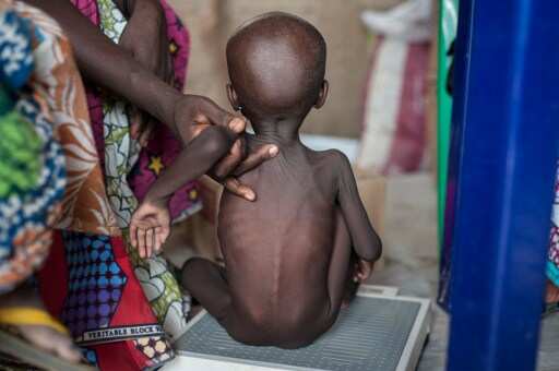 Boko Haram uprising likely to cause 'catastrophic' famine-like conditions