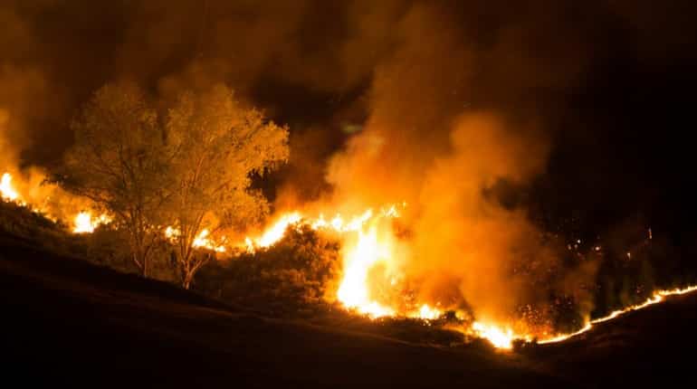New Zealand wildfire: More than 1,000 evacuated, homes destroyed New Zealand wildfire: More than 1,000 evacuated, homes destroyed