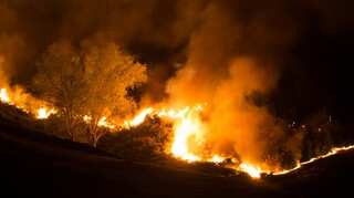 New Zealand wildfire: More than 1,000 evacuated, homes destroyed