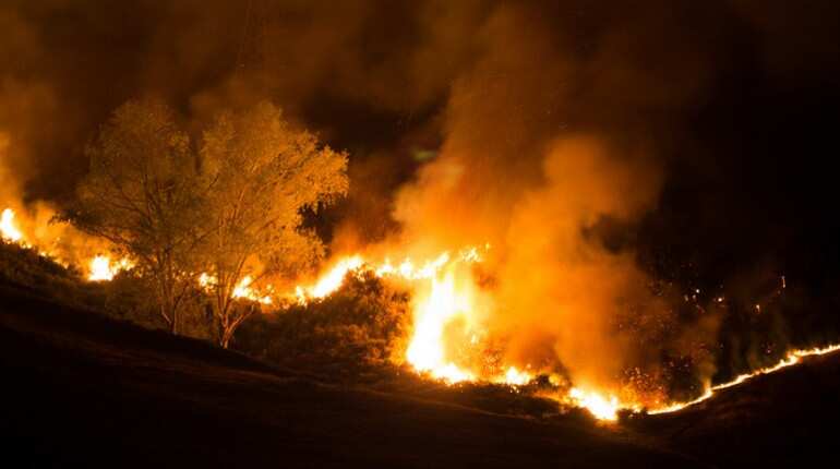 New Zealand wildfire: More than 1,000 evacuated, homes destroyed