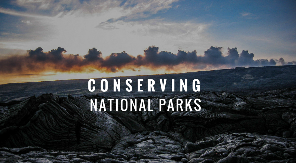 How two brothers are documenting National Parks in United States
