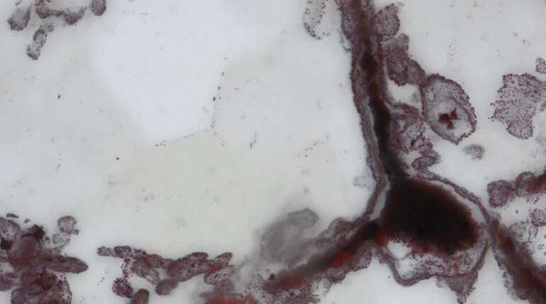 Oldest fossils point to life on Earth about 4 billion years ago