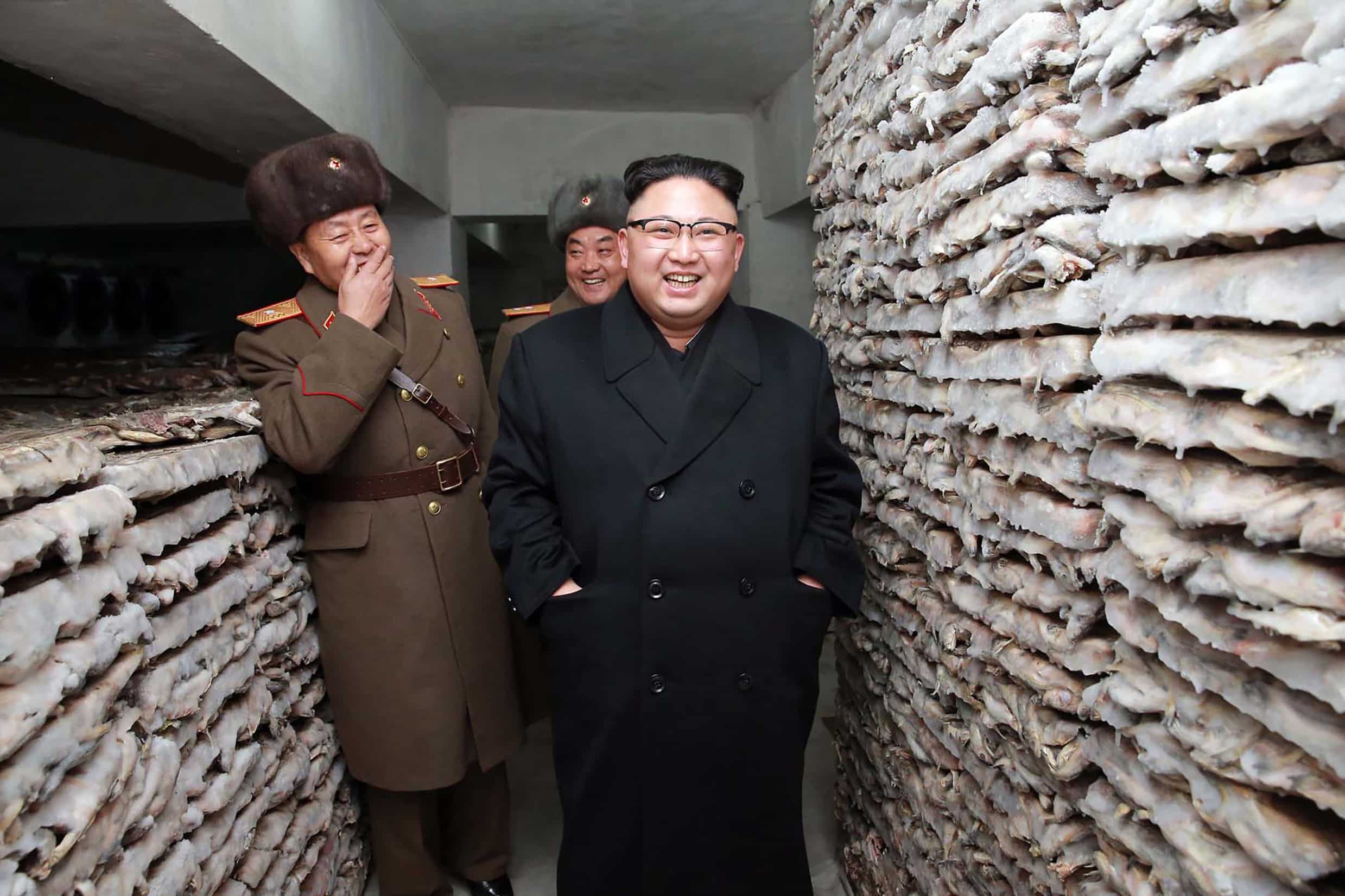 Talks with North Korea not possible due to irrational Kim: US Talks with North Korea not possible due to irrational Kim: US