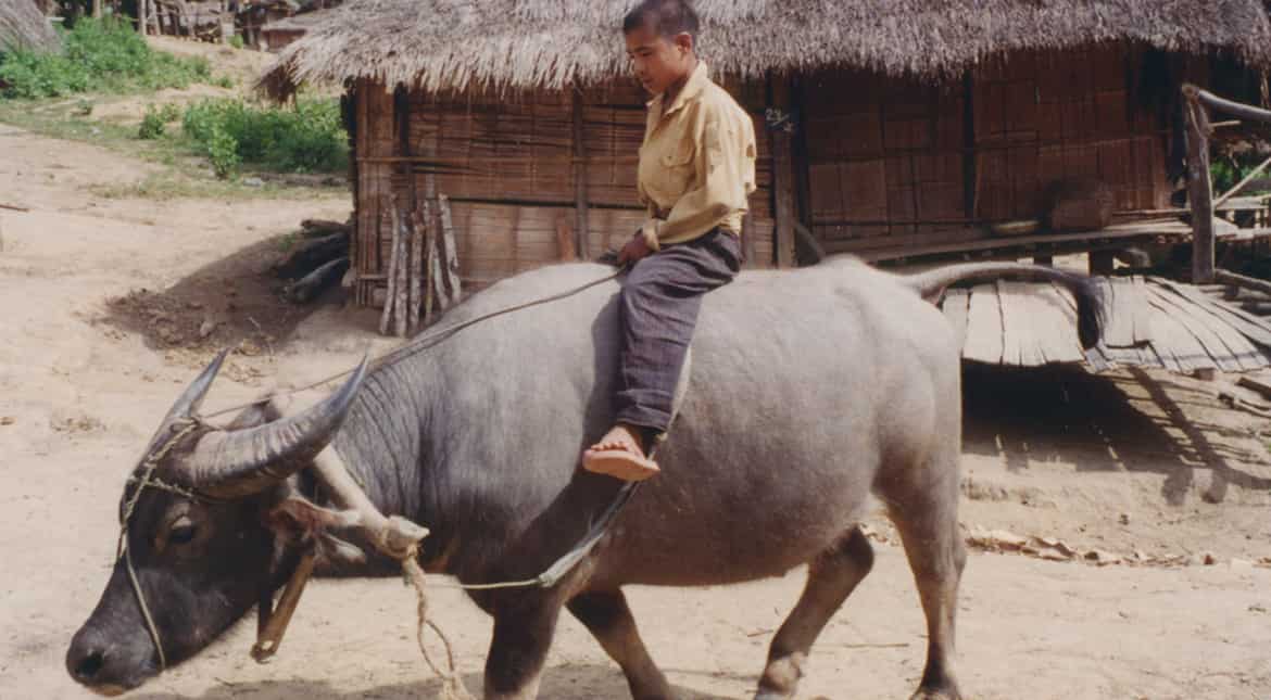 In Thailand, 'buffalo soldiers' help kids combat autism In Thailand, 'buffalo soldiers' help kids combat autism
