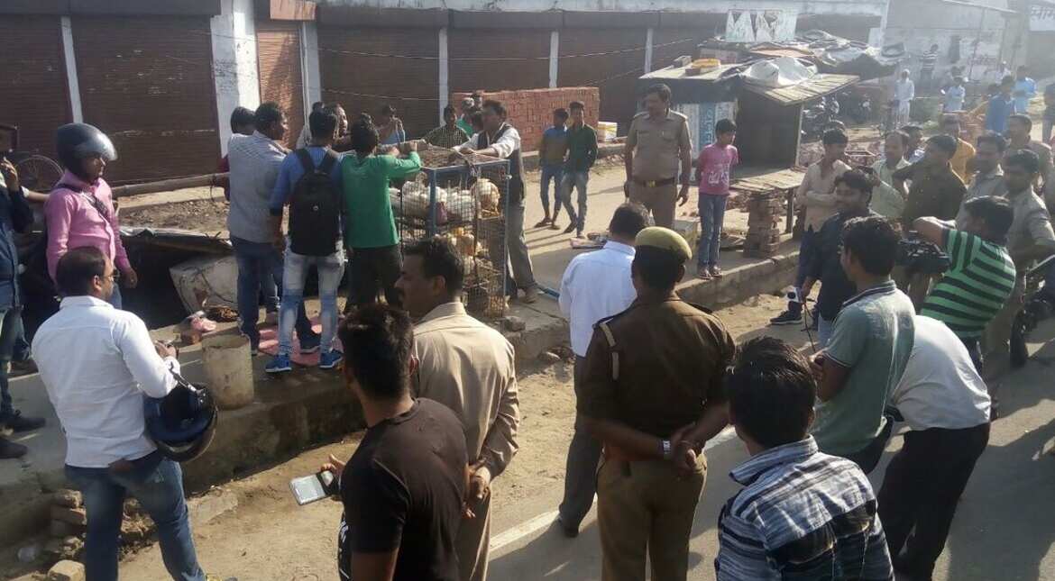 Yogi effect Illegal slaughterhouses, meat shops sealed in Uttar