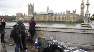 'Lone wolf' attackers not really alone