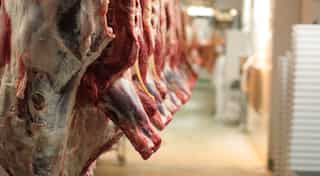 Yogi's slaughterhouse ban is a defeat of the democratic state