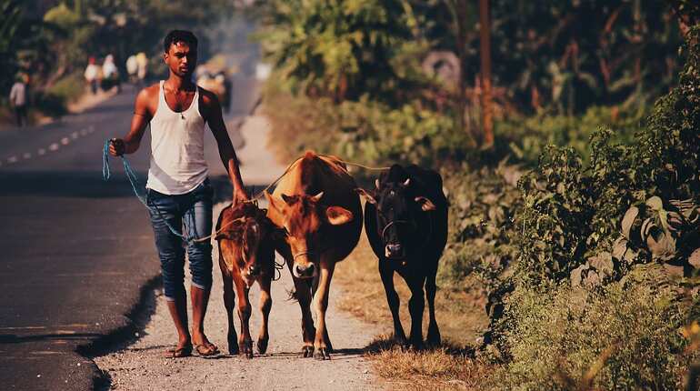 55 year old dies after he is attacked by gau rakshaks in Alwar, Rajasthan