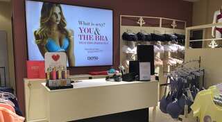 How important are your breasts?