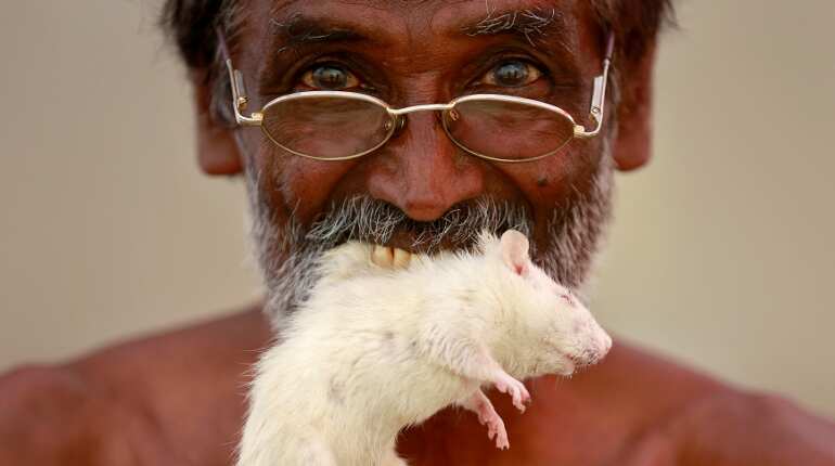 Farm loan write-offs win votes in India, but may hurt economy