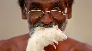 Farm loan write-offs win votes in India, but may hurt economy