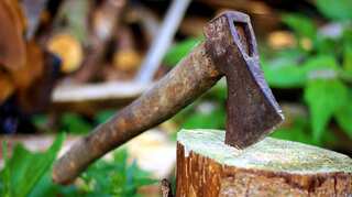 South African faces trial for allegedly killing his own family with axe