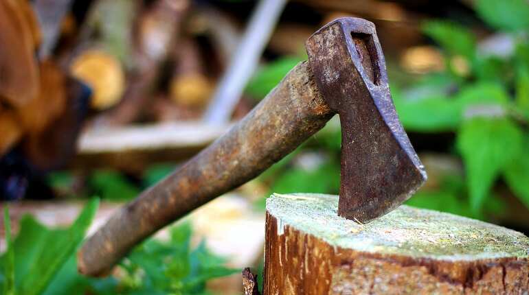 South African faces trial for allegedly killing his own family with axe