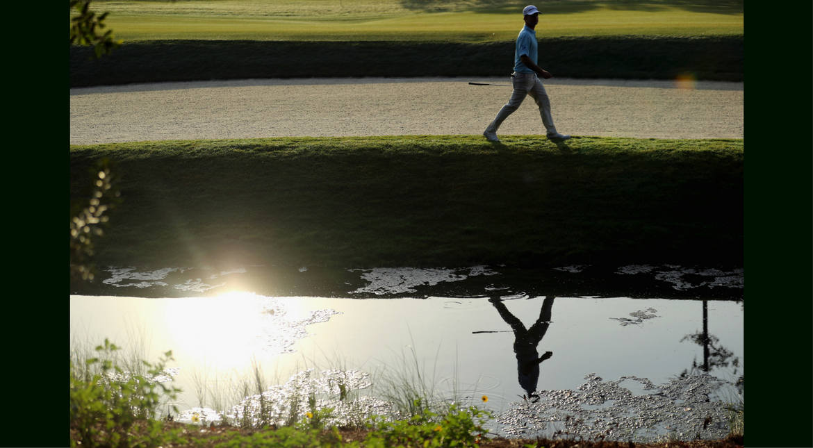 day in pictures