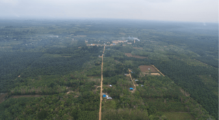 To conserve forests, we need to think beyond current ideas of integration or segregation