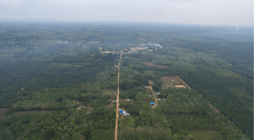 To conserve forests, we need to think beyond current ideas of integration or segregation