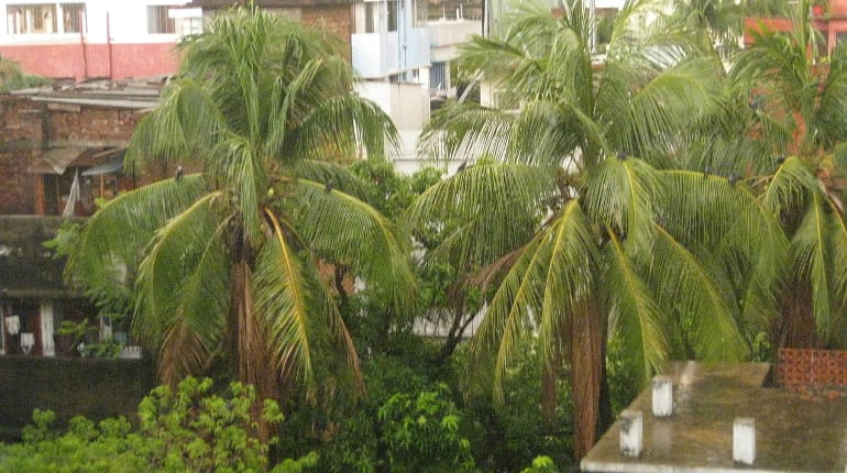 Heavy rains, landslides kill at least 156 in Bangladesh & India