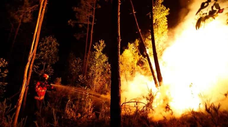 Portugal forest fire: Death toll mounts to 62