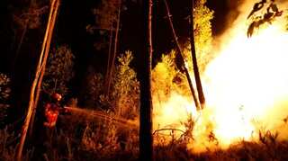 Portugal forest fire: Death toll mounts to 62