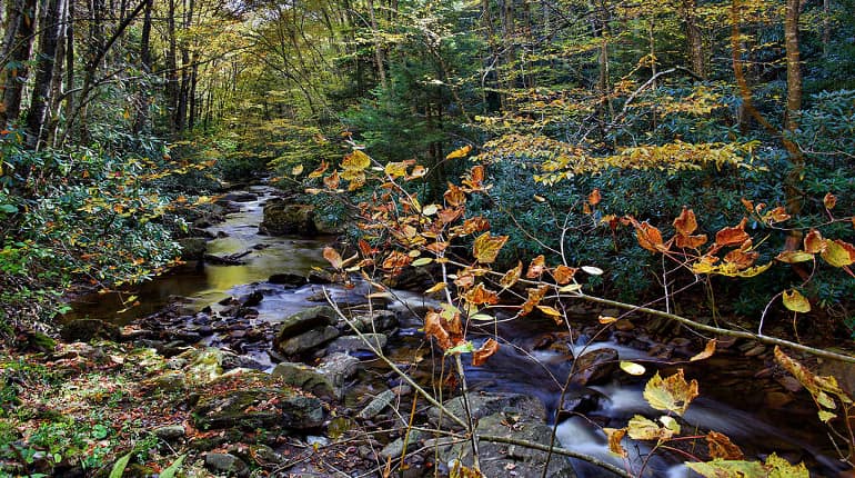 US: Man arrested in connection with abduction, murder of 17-year-old Muslim girl