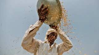 As farmer protests mount, government raises rice, cotton buying prices