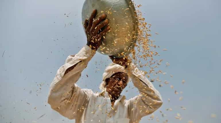 As farmer protests mount, government raises rice, cotton buying prices