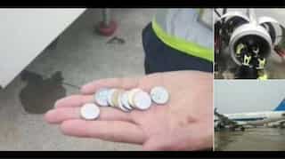 Plane crazy: From China coin-thrower to dirty dancer