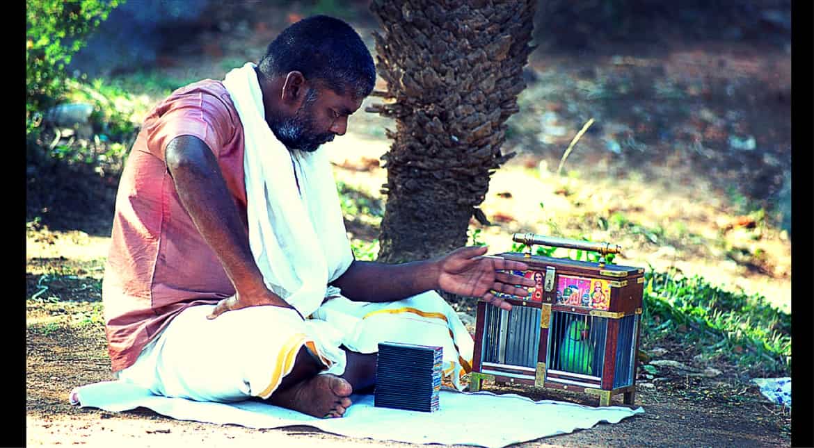 Parrot astrologer