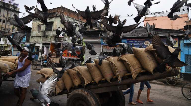 Goods and Services Tax: India's 'biggest' tax reform explained