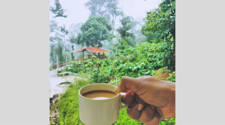 Perfect companion to enjoy the picturesque