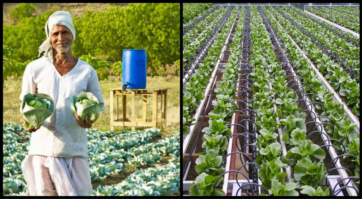 Israeli drip irrigation in India