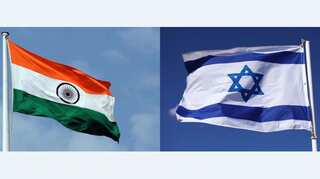 How Israel's plug-seedling technology has changed Indian agriculture